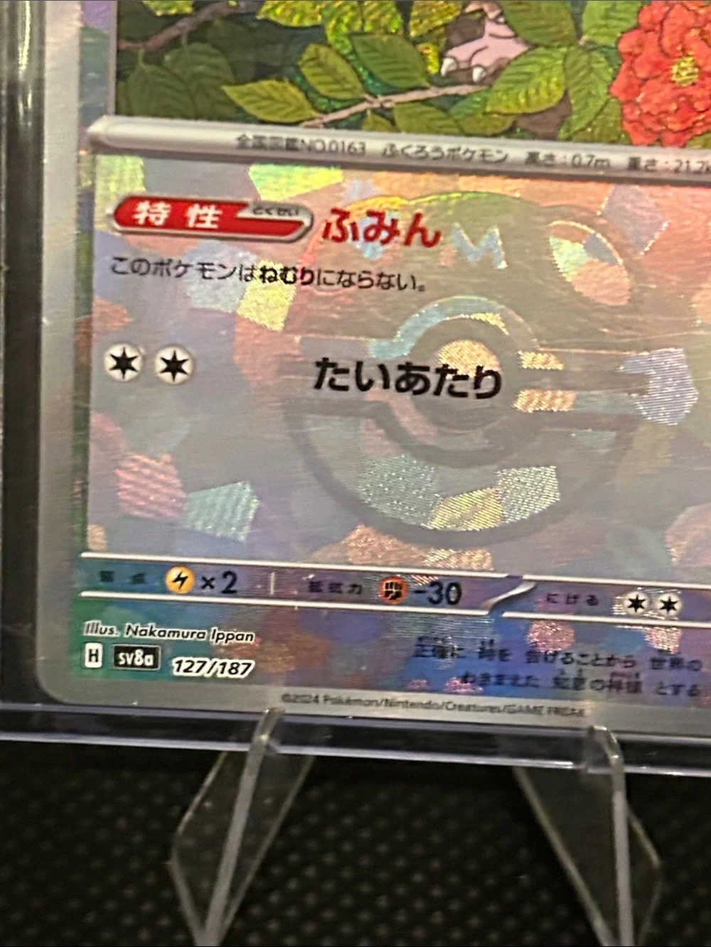 Pokemon Hoothoot 127/187 Masterball Holo Terastal Festival Set (Japanese) M/NM